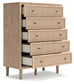 Cielden Full Panel Bed with Mirrored Dresser and Chest